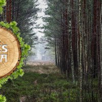 Meža apsaimniekotāji Latvijā: Īpašnieki kļūst gudrāki un domā ilgtermiņā