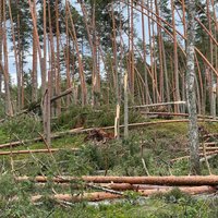 Cēsu un Bauskas spēcīgo vētru "anatomija". Speciālisti skaidro, kā tās rodas