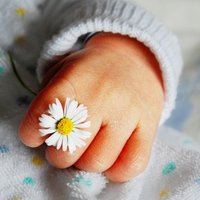 Piešķir 8538 eiro pabalstu Liepājā dzimušo trīnīšu ģimenei