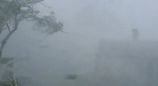 Апокалипсис под Добеле: кульминация разрушительной бури попала на видео