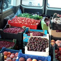 PVD nakts tirgū atkal izņem pustonnu augļu un dārzeņu