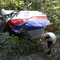 Ukraina: Malaizijas lidmašīna iznīcināta raķetes sprādziena šķembu triecienā