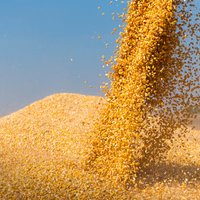 Krievijas un Baltkrievijas lauksaimniecības produktu apriti ierobežos ar augstiem importa tarifiem