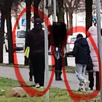 Jelgavā maskoti jaunieši puisim ieliek kabatā aizdedzinātu petardi; policija sāk lietu