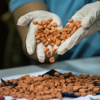 Полиция задержала наркодилеров: изъяты таблетки MDMA и марихуана