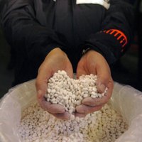 Два поляка пойманы на доставке в Австралию тонны таблеток экстази
