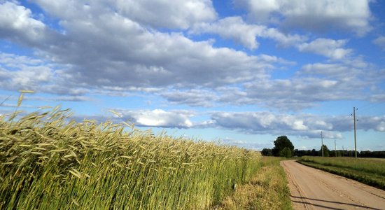 'Linas Agro Group' Iecavā plāno būvēt sēklu ražotni