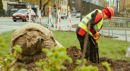 На улице Чака установят 133 велоштатива и 36 ящиков для цветов