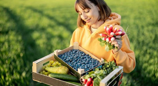 Rosina saglabāt samazināto PVN 5% likmi svaigiem augļiem, ogām un dārzeņiem