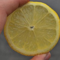 Universāls kareivis - citrons