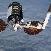 На МКС выяснят, возможно ли сварить пиво в космосе