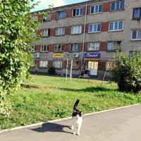 Opozīcija 'Rīgas pilsētbūvniekam' pārmet nepamatotu namu apsaimniekošanas maksas paaugstināšanu