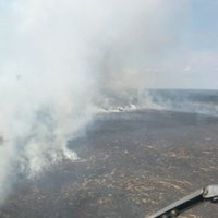 Ramatas purva ugunsgrēka platība sasniegusi 220 hektārus