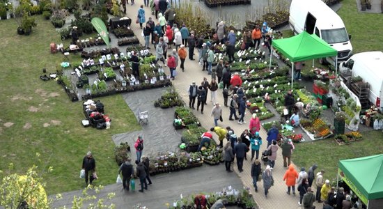 Video: Stādu parādē šogad topā 'vecmāmiņu augi'