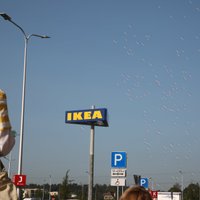 IKEA активно скупает леса в Балтии, становясь одним из крупнейших лесовладельцев