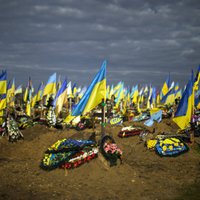 ООН: число погибших мирных жителей в Украине превысило 7 тысяч