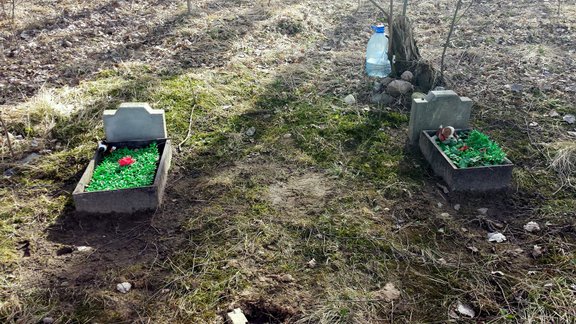 Skaistā bērzu birzs Salaspils centrā kalpo par nelegālu mājdzīvnieku kapsētu - 7