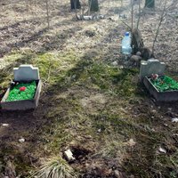 Skaistā bērzu birzs Salaspils centrā - dzertuve un mājdzīvnieku kapsēta (ar Salaspils domes komentāru)