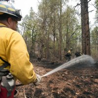 Aviokatastrofa izraisa meža ugunsgrēku Kalifornijā