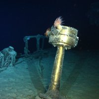 Исследование: кому принадлежат сокровища на затонувших кораблях?