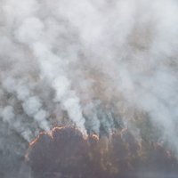 Пожар на болоте в Раматской волости охватил 220 гектаров