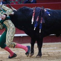 Video: Vienacainais Spānijas matadors kārtējo reizi izglābjas no nāves