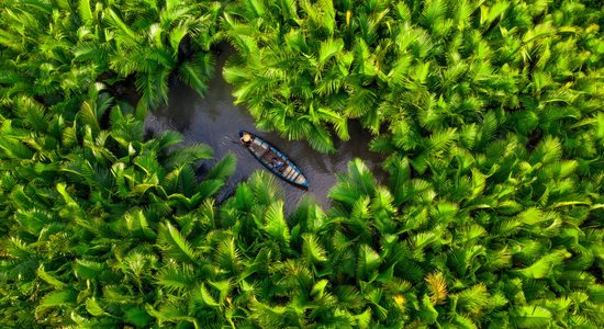 Dienas ceļojumu foto: Zveja starp kokospalmām Vjetnamā