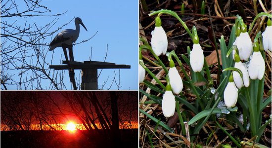 Foto: Daba, saule un pat Mēness saka – tuvojas Lieldienas!