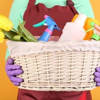 Чисто и недорого: как сэкономить на средствах для уборки