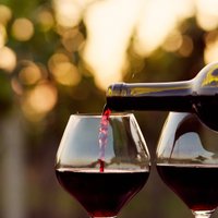 Alus, degvīns, vīns, liķieri: kurš alkoholiskais dzēriens ir visnekaitīgākais?