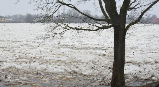 Уровень воды в Даугаве возле Екабпилса поднялся более чем на метр