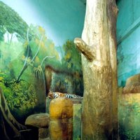 Mākslas projekts: Čehi fotografē zooloģisko dārzu krātiņus