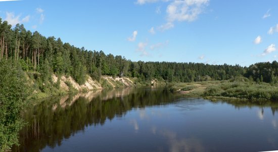 Vairākās upēs ūdens līmenis sasniedzis rekordzemu atzīmi