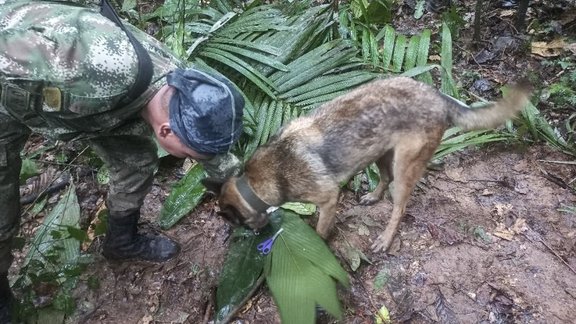 Kolumbijā nemiernieku vardarbībā nogalināti 39 cilvēki, valdība aptur miera sarunas