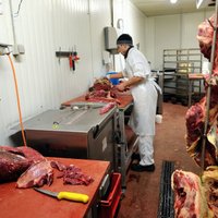 Конина обнаружена в трех мясных продуктах, продававшихся в Латвии