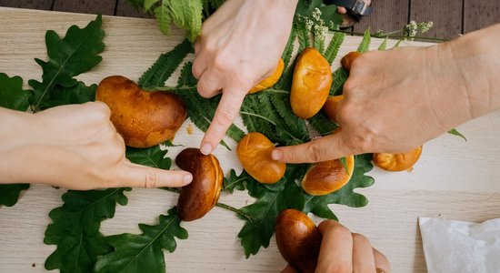 Pa taisno no bodes: astoņi kandidāti uz labākā speķa pīrāga godu