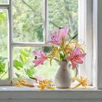 No pareizas vāzes formas līdz vietas izvēlei mājās – kā labāk parūpēties par grieztajiem ziediem