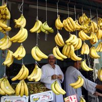 Jāēd ne tikai banāns, bet arī miza. Kā tā uzlabo cilvēka veselību?