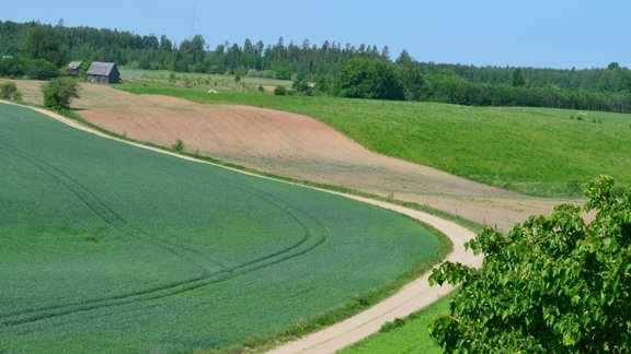 Brīvdienu maršruts: Talsi - 24