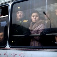 ООН: в Северной Корее грубо нарушаются права человека