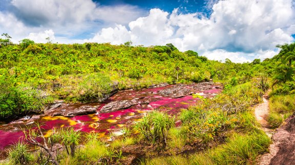 Cano Cristales, upe, Kolumbija