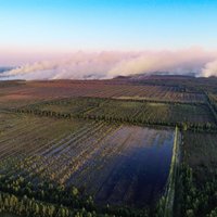КАРТА. Латвия в огне: горит более 1000 гектаров леса и торфяных болот