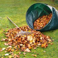 No 22. oktobra rīdzinieki bez maksas varēs nodot savāktās koku un krūmu lapas