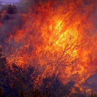Pirmdien dzēsti 12 ugunsgrēki, astoņi izsaukumi – maldinoši