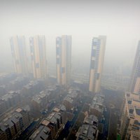 В Китае из-за смога планируется строить "лесные города"