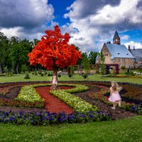 ФОТО. "Алиса в стране чудес" в соседней Эстонии – великолепный парк в шести километрах от границы с Латвией