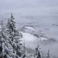 В Альпах под снежной лавиной погибли альпинисты из Литвы