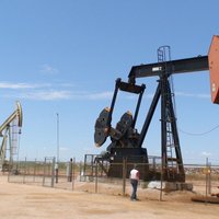 Nafta aizvadījusi neveiksmīgu gadu, cenai sarūkot par vairāk nekā 20%; šogad strauju kāpumu neprognozē