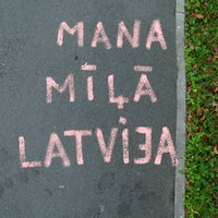 Исследователь: открытого этнического конфликта в Латвии нет, скрытая обида - есть