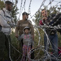 В Чехии перестанут задерживать мигрантов, пробирающихся в Германию